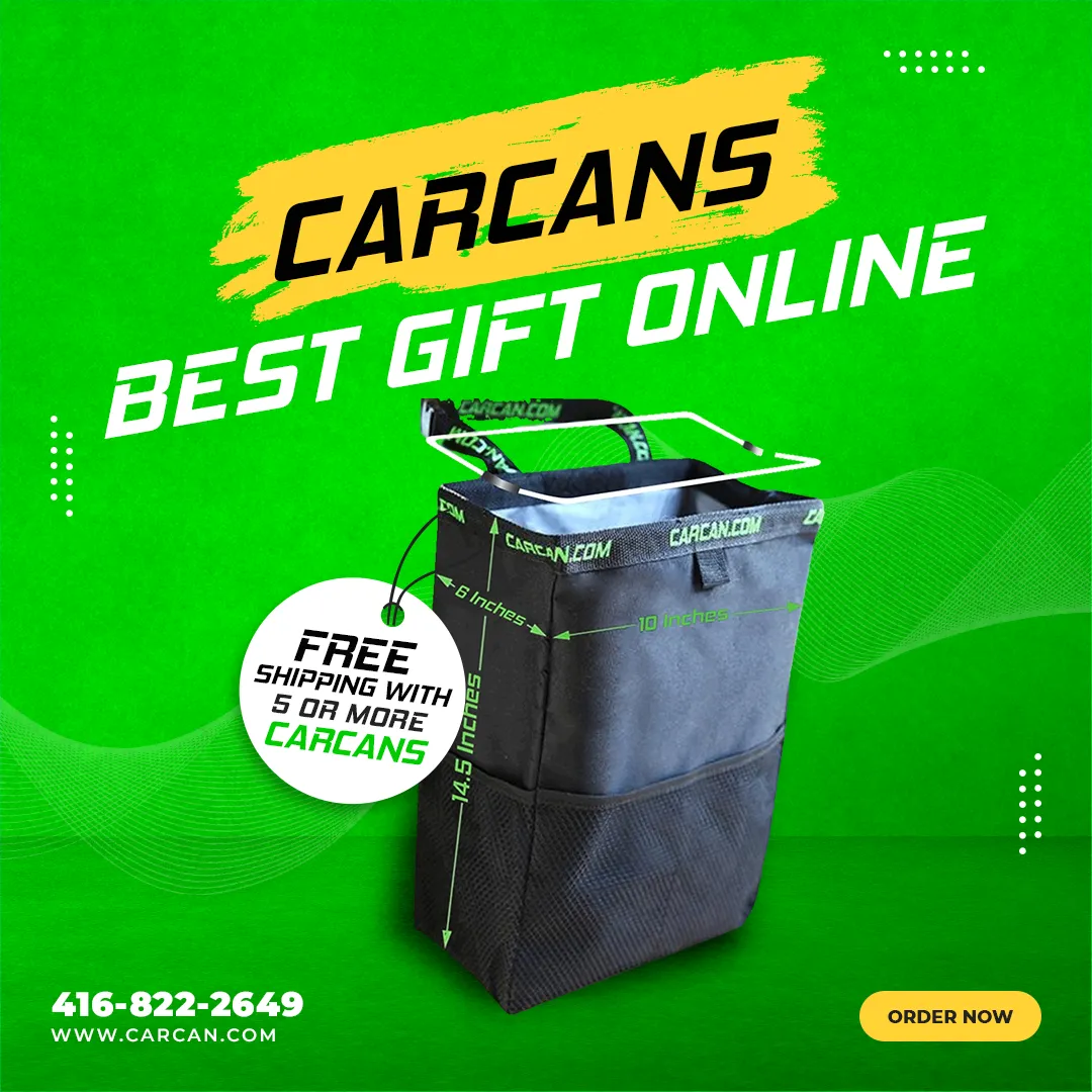 100 Pack CarCan