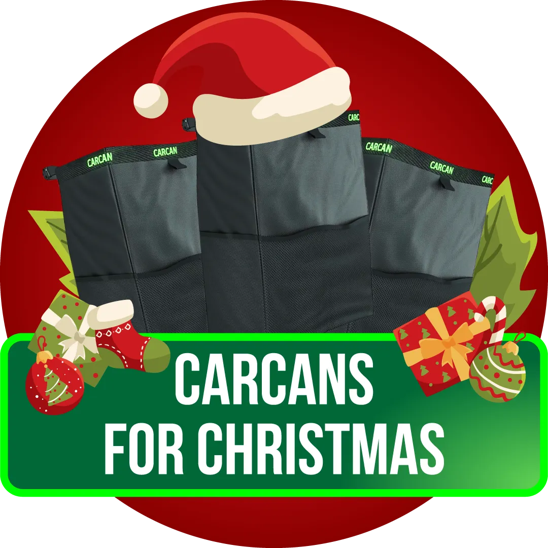 100 Pack CarCan