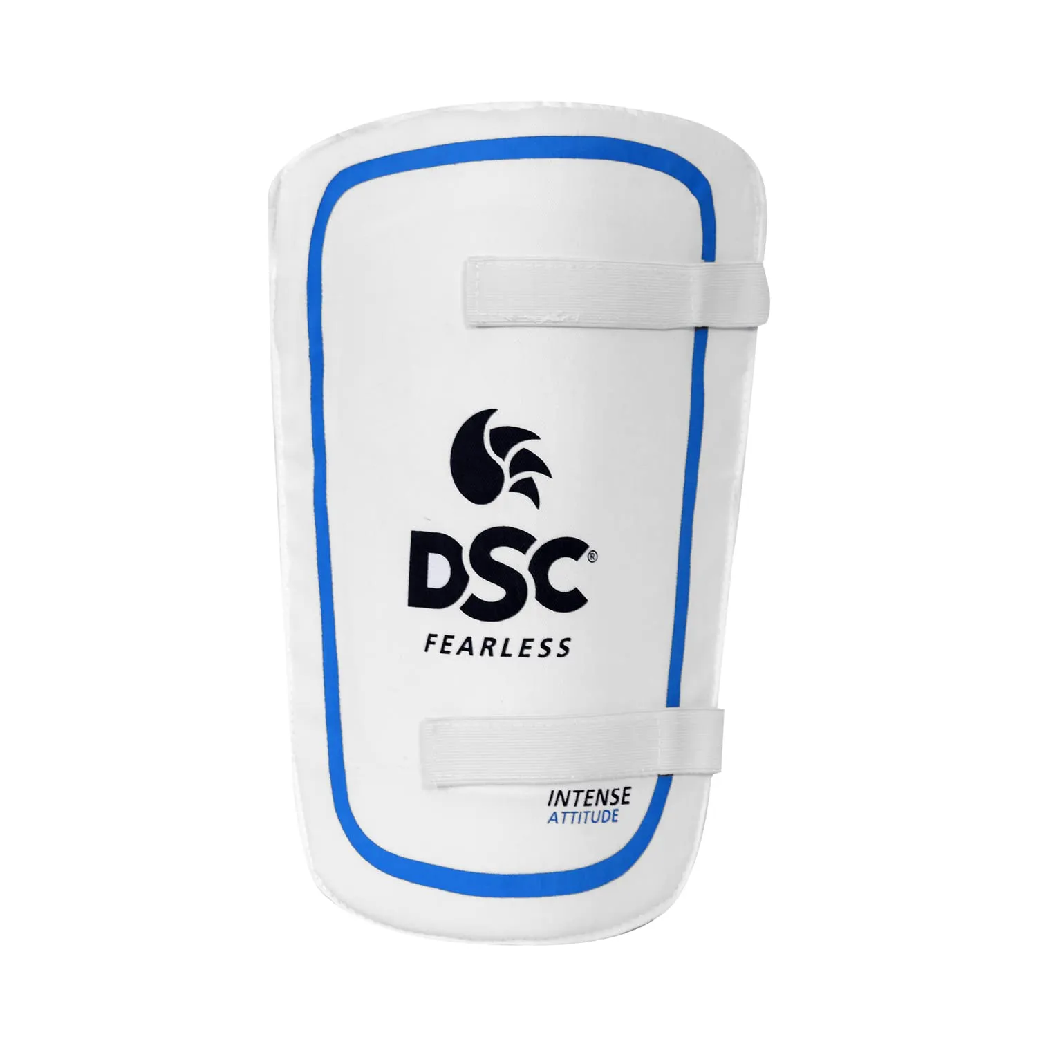 DSC Premium Range Kashmir Willow Cricket Kit with Helmet (Right Hand)