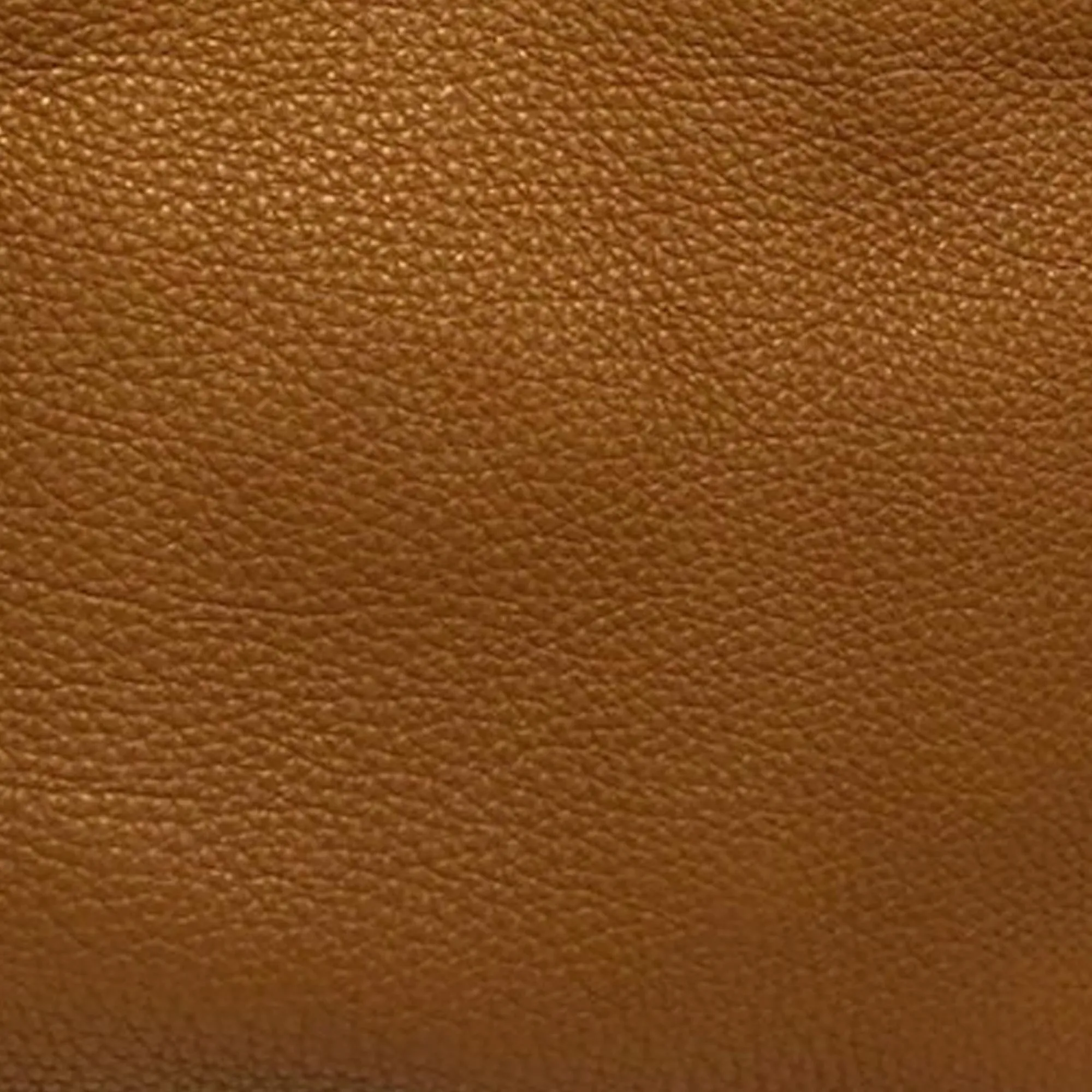 Fendi Selleria Carla (SHG-mFSTvC)