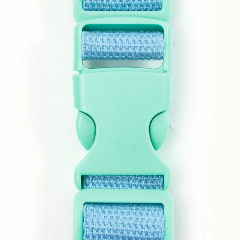 Fruit Belt Bag