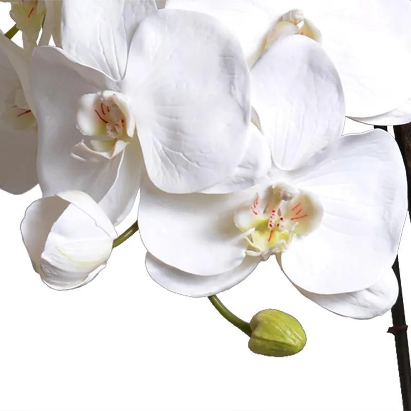 Phalaenopsis Orchid x5 in Blue & White Vase 32"H