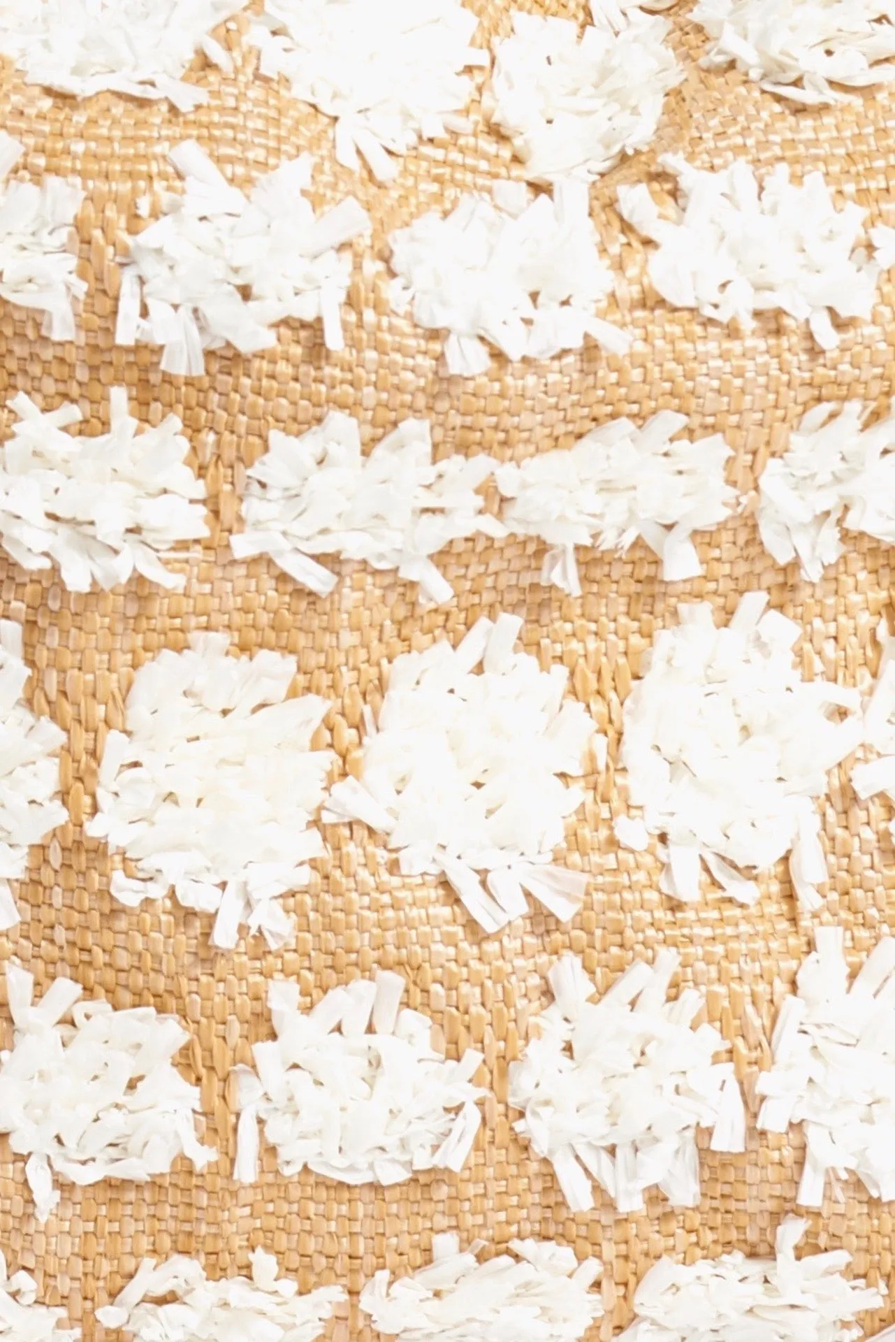 Raffia Hand Bag