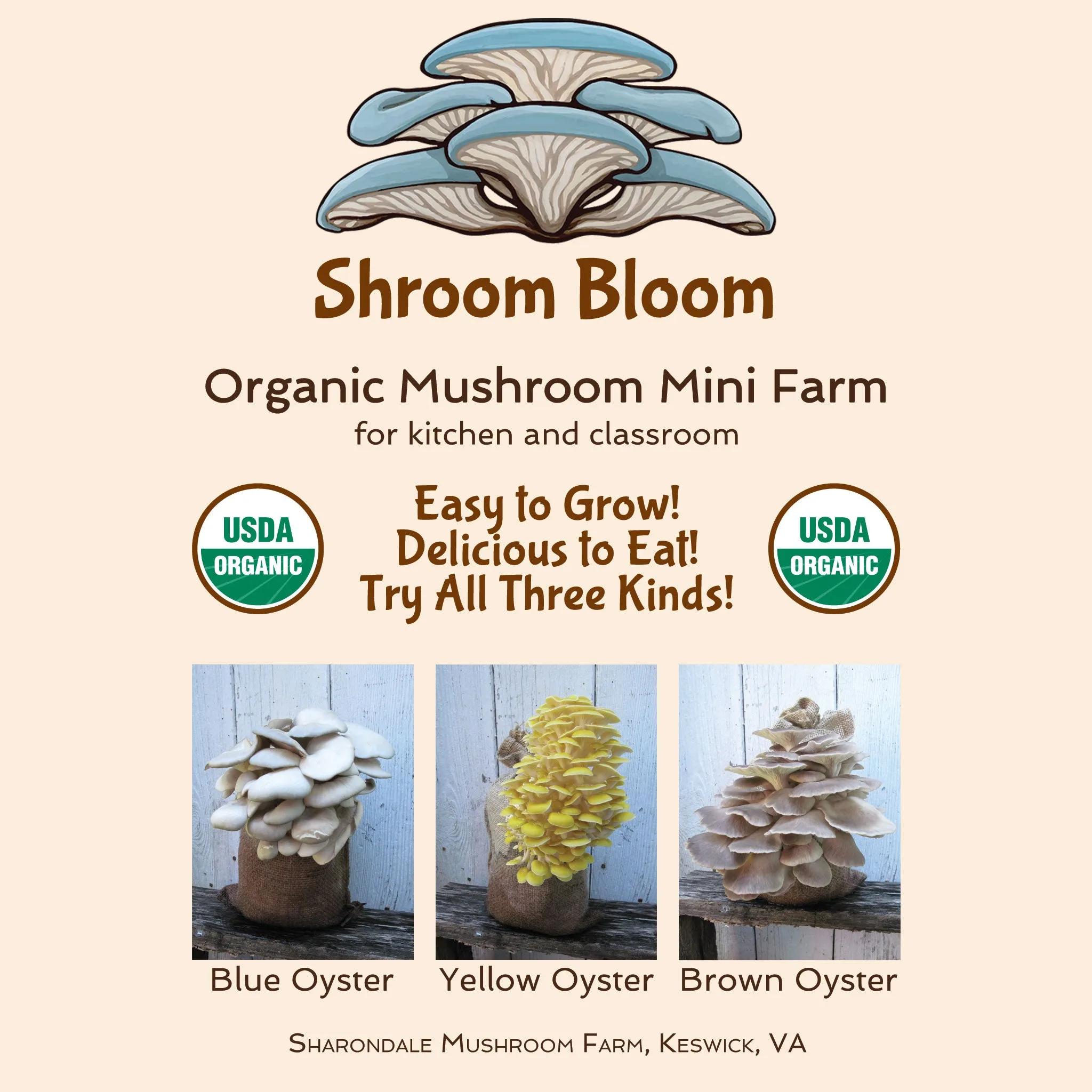 Shroom Bloom Mushroom Grow Kit