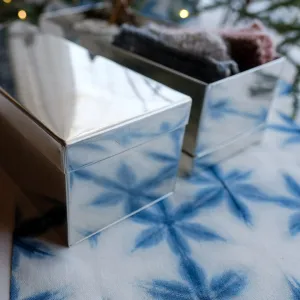 Sleek Shiny Tool Box